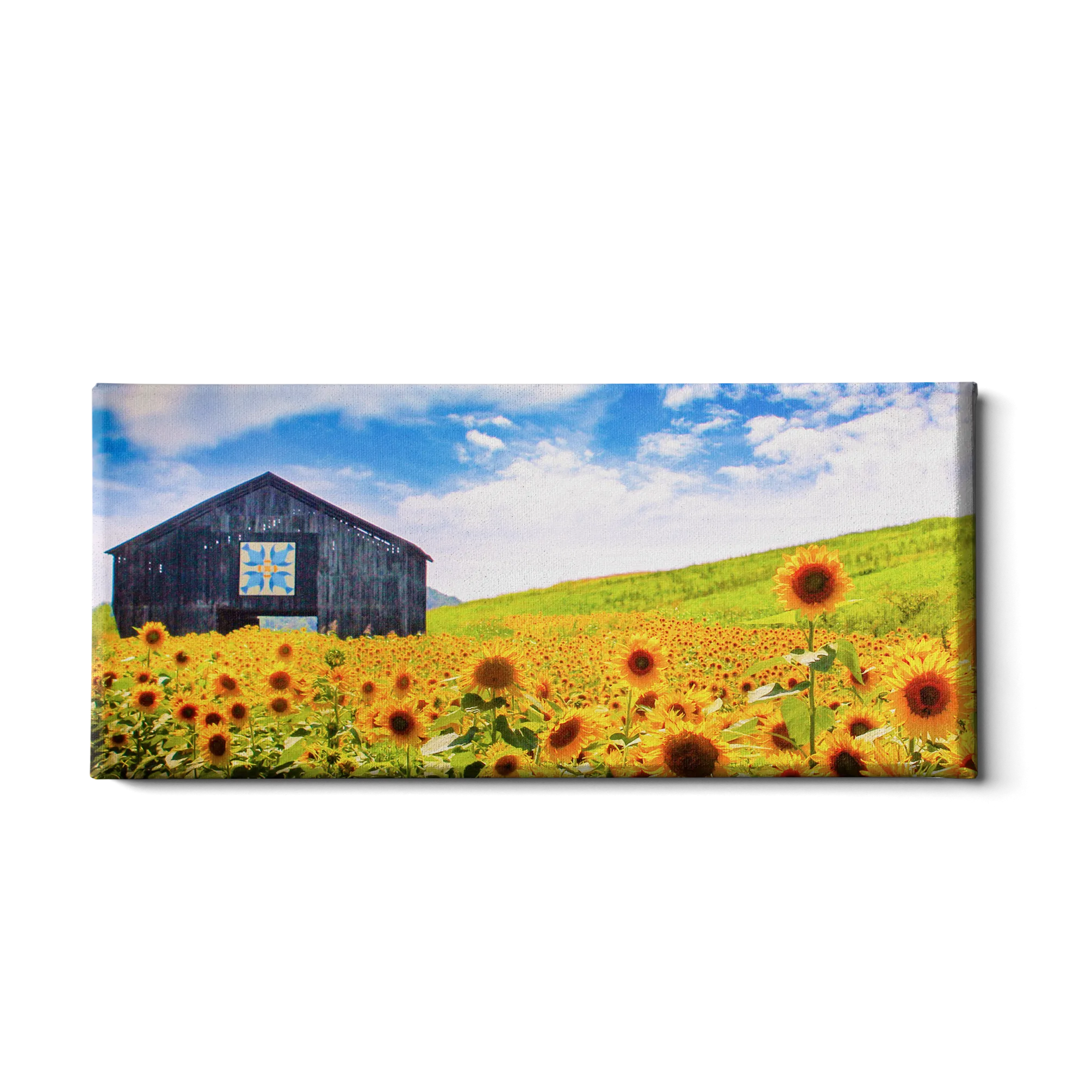 Destination - Sunflowers Panoramic